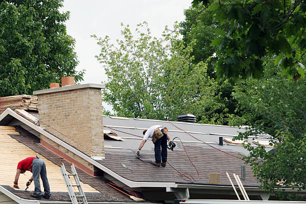 Best Roof Gutter Cleaning  in Westville, IN