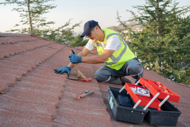 Best Roof Leak Repair  in Westville, IN