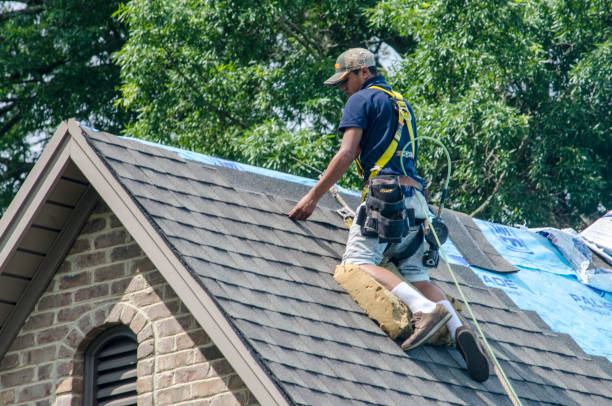 Best Emergency Roof Repair  in Westville, IN