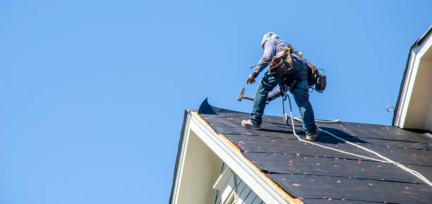 Best Metal Roofing Contractor  in Westville, IN